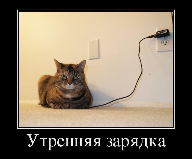       - 2  2015  16:03