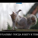 ���� ����, ���������, 42 ���� - ��������� 10 ������� 2015 � ������ �����������