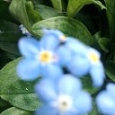 ���� ������, ������������ - ��������� 7 ������� 2015 � ������ ���� ����������