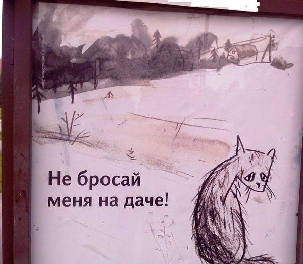  ...))).   vk.com/ranks https://vk.com/ranks
