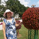 ���� �������, ������, 68 ��� - ��������� 5 ������� 2015 � ������ ���� ����������