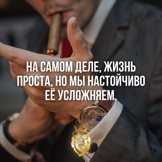IQ Blog: , , ,  - 23  2015  11:06