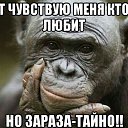 ���� ����, �����-��������� - ��������� 23 �������� 2015 � ������ ������ ��������