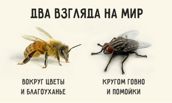    :-) - 30  2015  15:20