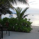    -  ,  -  23  2015    2014.  Lawana.  11-. (2 )