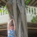 ���� ��������, ���������, 57 ��� - ��������� 2 ��� 2015 � ������ ���� ����������