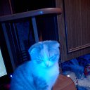 ��� ������ ���� �� ������� ���� ����������