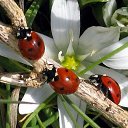 ���� �����, ��������� - ��������� 14 ���� 2015 � ������ ���� ����������