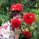 ���� �������� �������� ������� �� ������� ������������ �������