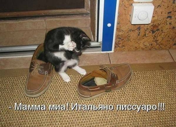   | , ,  - 23  2015  12:03