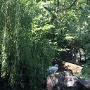  , , 38  -  10  2015    2015