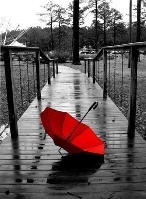    ,   .     .  ... - 5