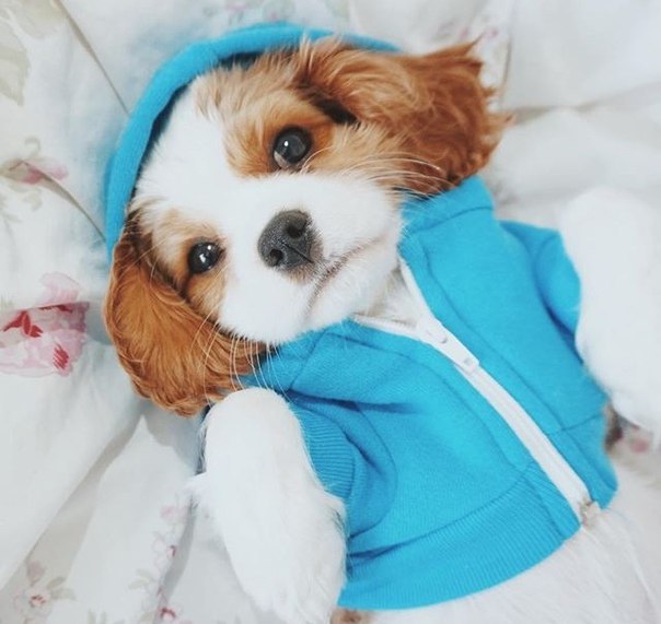   - 9  2015  18:31 - 3