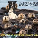 ���� ������, ������, 44 ���� - ��������� 5 ������� 2015 � ������ ������ ��������