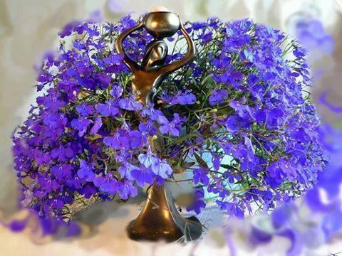 ���� - 17 ��� 2015 � 19:08