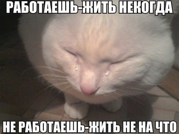     - 7  2015  20:20