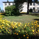 ���� Alexandr, ������, 75 ��� - ��������� 4 �������� 2015 � ������ ���� ����������