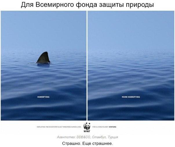...    - 2
