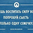 ���� ������, ����� - ��������� 28 ���� 2015 � ������ ������ ��������