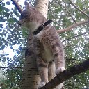  ♥♥, - -  18  2015    