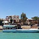  , , 54  -  11  2015   -)