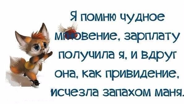   - 28  2015  15:09