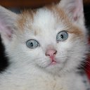 ���� �����, ��������, 22 ���� - ��������� 30 ��� 2015 � ������ ������ ��������