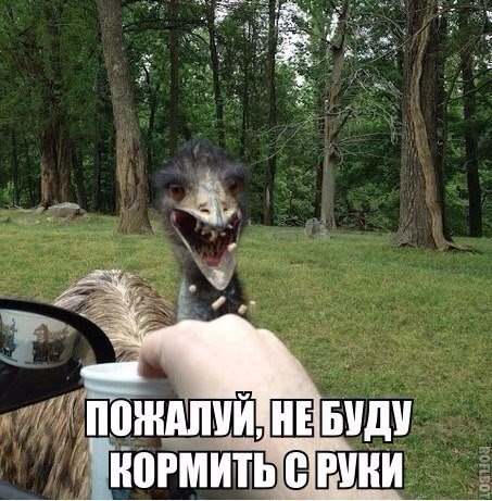  - 4  2015  14:10