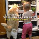 ���� ������, �������, 50 ��� - ��������� 21 ������� 2015 � ������ ������ ��������