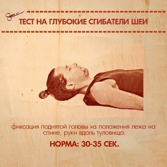     .   (   )  ... - 5