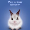  ,  -  30  2015    