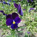  , , 60  -  25  2015     .&quot;&quot;23.05.15.