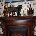 ���� ����, ���������, 60 ��� - ��������� 26 ���� 2015 � ������ ���� ����������