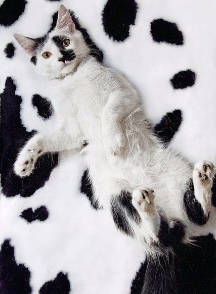   - 9  2015  18:05 - 5