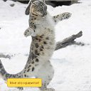 ���� �����, ������, 58 ��� - ��������� 2 ������� 2015
