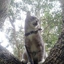  ♥♥, - -  28  2015    