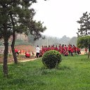  Kookarra, , 26  -  6  2015    