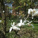 ���� �������, ����������� - ��������� 3 ��� 2015 � ������ ������ ��������