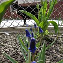 ���� ���������, ����� - ��������� 10 ��� 2015 � ������ ���� ��������� ������