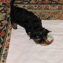 ���� ���������, �������, 49 ��� - ��������� 8 ������� 2015 � ������ �TINA LTAVA PEARL SECRET�