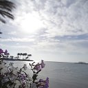 ���� �������, ������, 49 ��� - ��������� 11 ���� 2015 � ������ �����, ������, ����