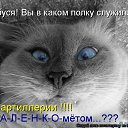 ���� ��, ������, 68 ��� - ��������� 31 ��� 2015 � ������ ���� ����������