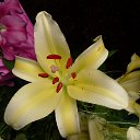 �������� �� ������� ���� ����������