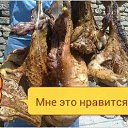 ���� ������, ���������, 49 ��� - ��������� 20 ���� 2015 � ������ �����