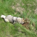 ���� ������, �����, 44 ���� - ��������� 30 ���� 2015 � ������ �2015 �.�