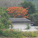    -  ,  -  6  2015    2014.   .  8-.