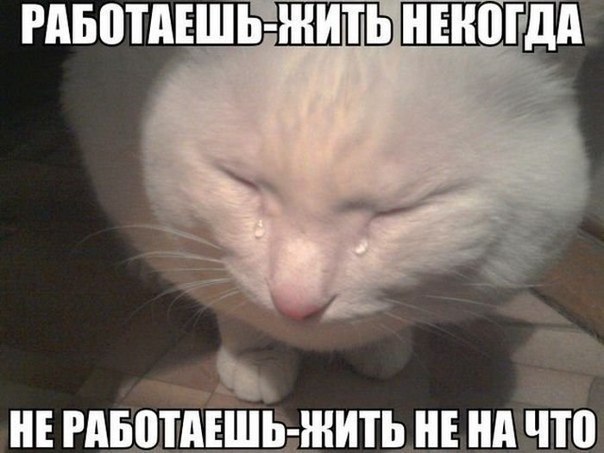     - 7  2015  20:20