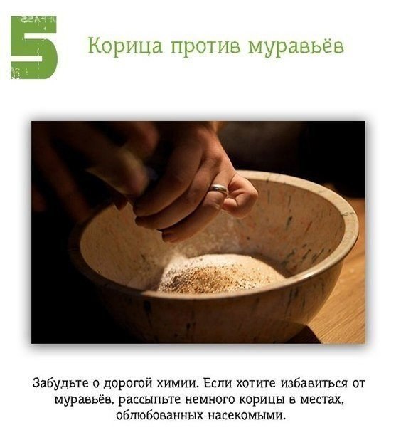  . - 5