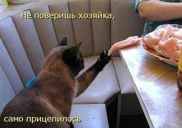 �������� ���������� ��� ���