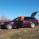 ���� ��������, ������, 50 ��� - ��������� 16 ���� 2015 � ������ ���� ����������